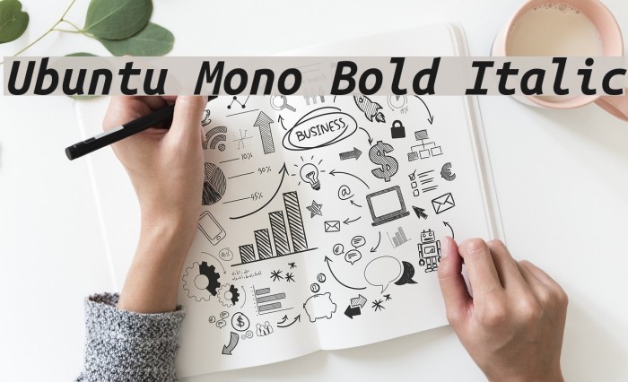Ubuntu Mono Bold Italic Font examples