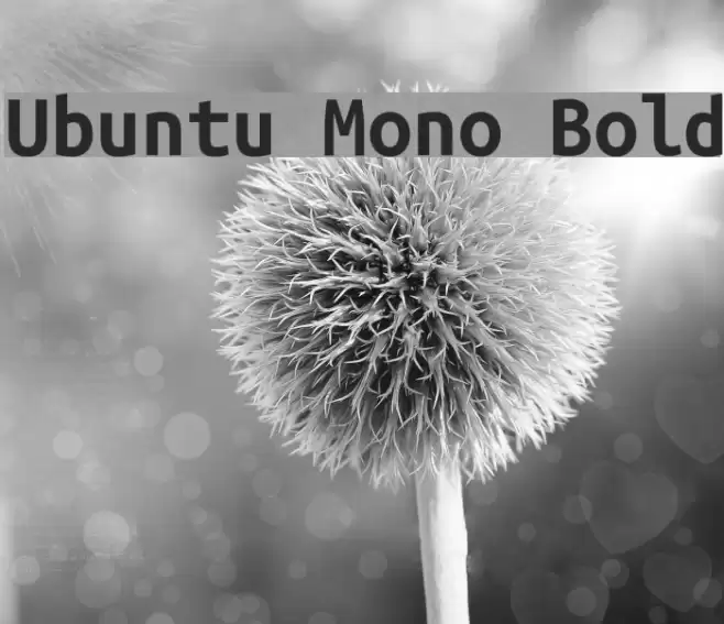 Ubuntu Mono Bold Font examples