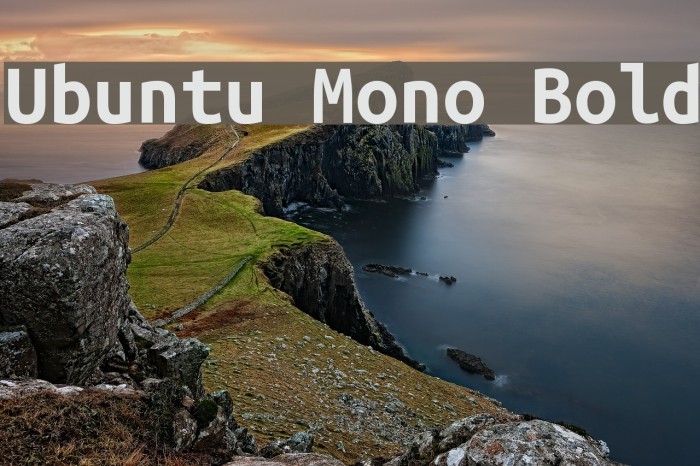 Ubuntu Mono Bold Font examples
