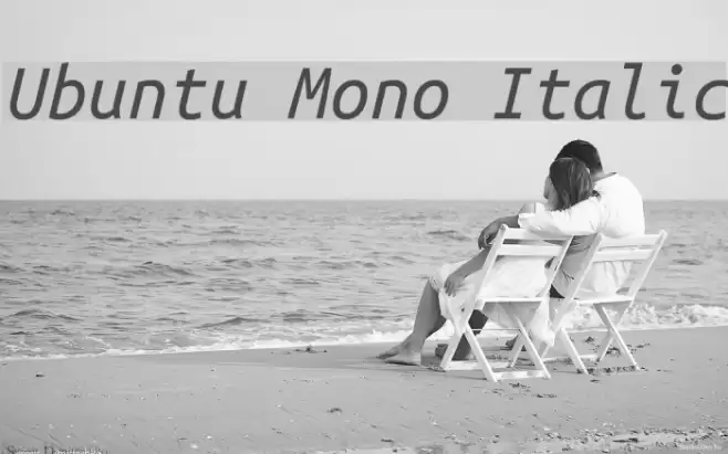 Ubuntu Mono Italic Font examples