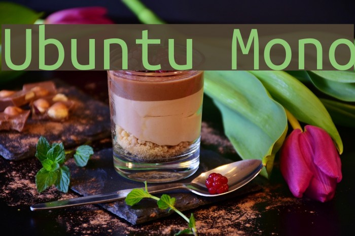 Ubuntu Mono Font examples