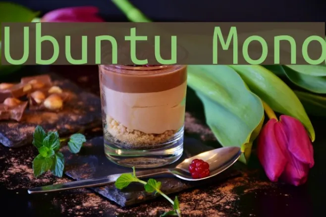 Ubuntu Mono Example 3