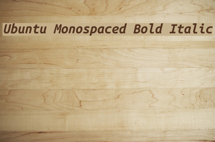 Ubuntu Monospaced Bold Italic Font examples