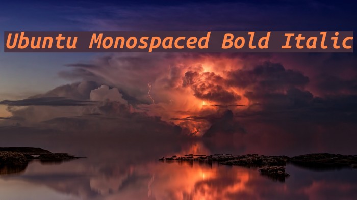 Ubuntu Monospaced Bold Italic Font examples