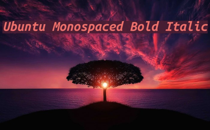 Ubuntu Monospaced Bold Italic Font examples