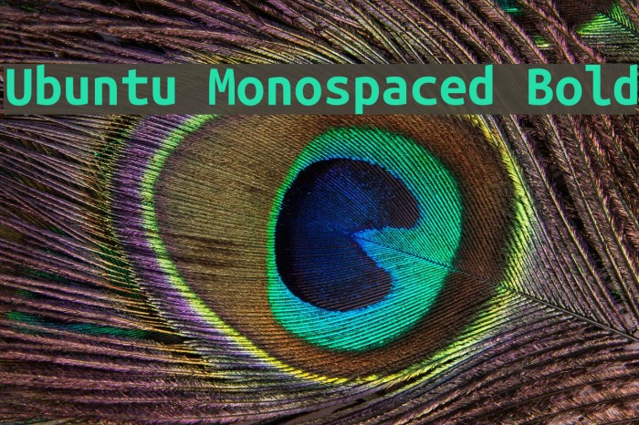 Ubuntu Monospaced Bold Font examples