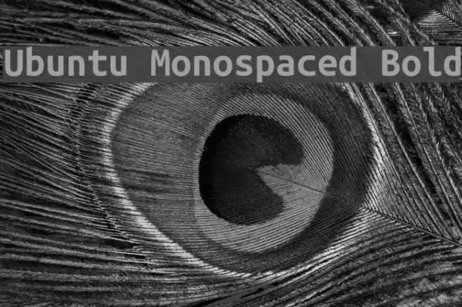 Ubuntu Monospaced Bold Font examples