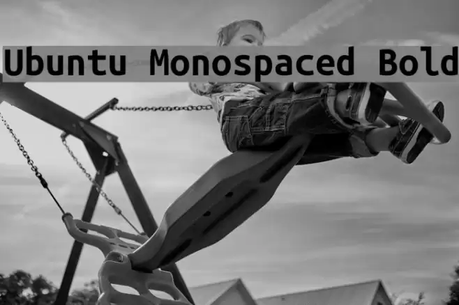 Ubuntu Monospaced Bold Font examples