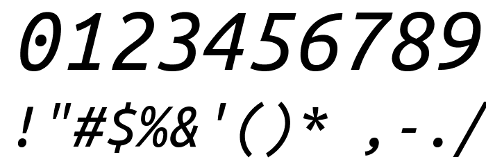 Ubuntu Monospaced Italic Font OTHER CHARS