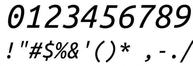 Ubuntu Monospaced Italic Font OTHER CHARS