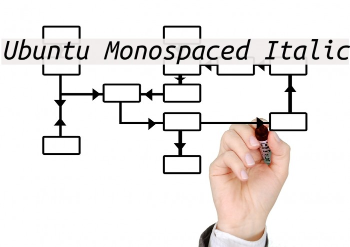 Ubuntu Monospaced Italic Font examples