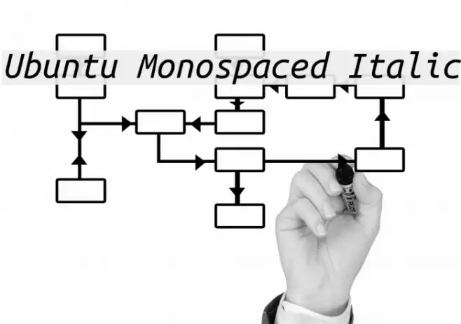 Ubuntu Monospaced Italic Font examples