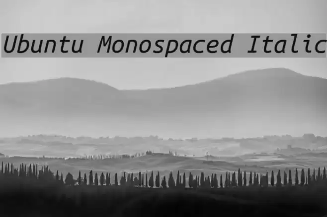 Ubuntu Monospaced Italic Font examples