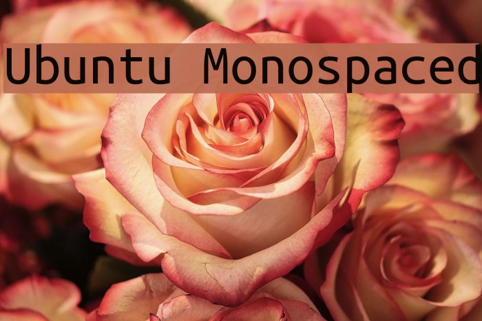 Ubuntu Monospaced Font examples