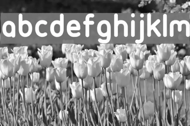 Ubuntu-Title Schriftart examples