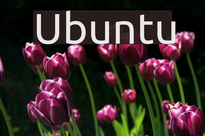 Ubuntu Font examples