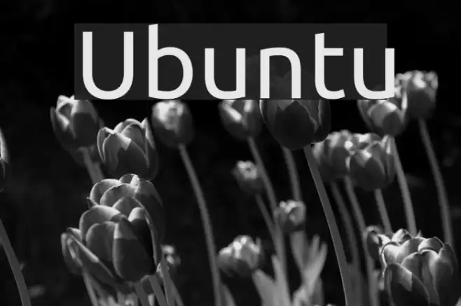 Ubuntu 字体 examples