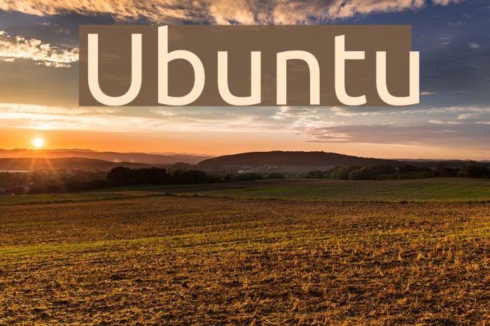 ubuntu webfont