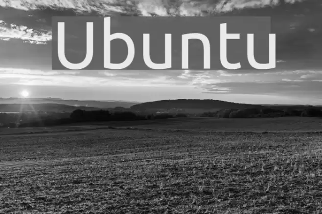 Ubuntu 字体 examples