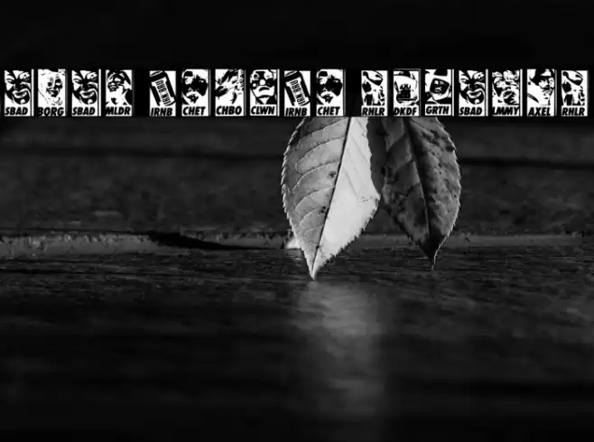 Ubuy Iconic Regular Font examples