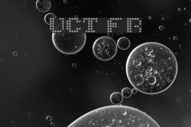 UCT Found Receipt Fuentes examples