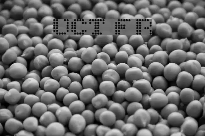 UCT Found Receipt Fuentes examples