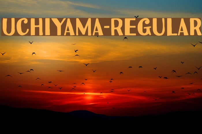 Uchiyama-Regular Font examples