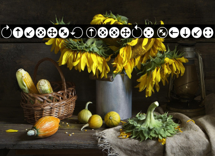 Uchrony Arrows Light Example 3