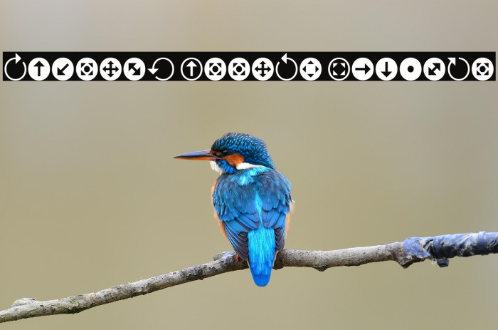 Uchrony Arrows Regular Example 3