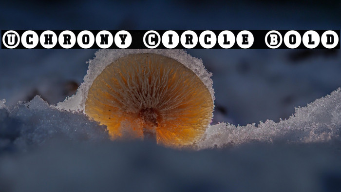 Uchrony Circle Bold Example 1