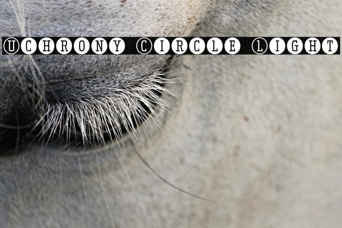 Uchrony Circle Light Example 3