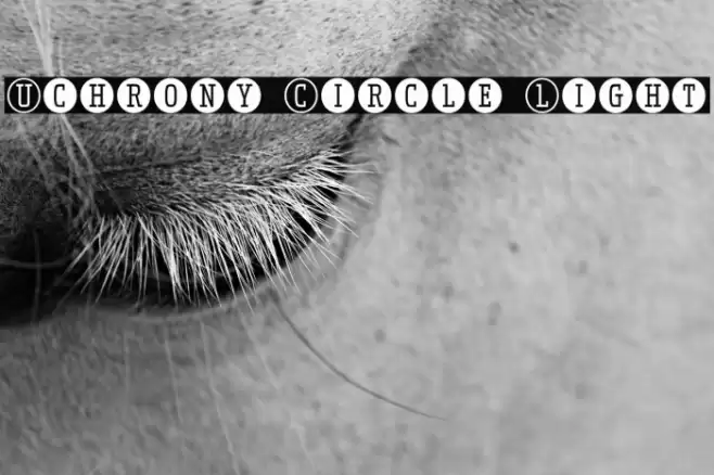 Uchrony Circle Light Font examples