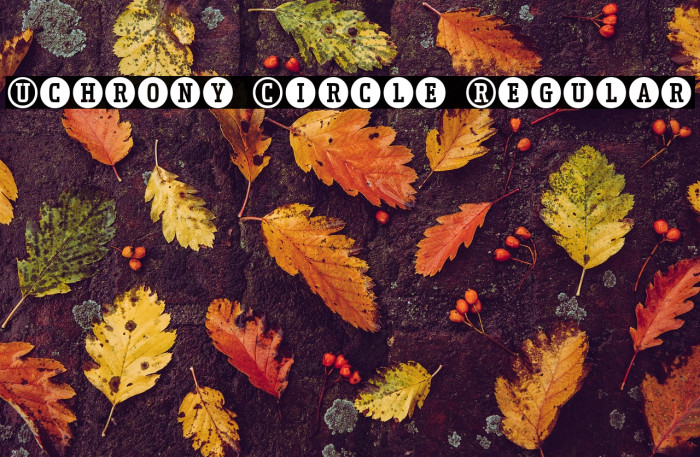 Uchrony Circle Regular Example 3