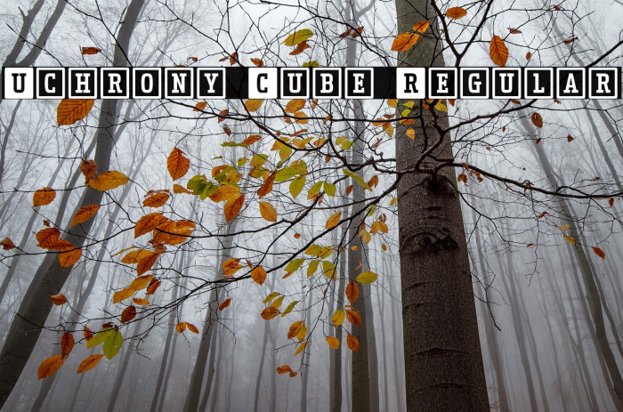 Uchrony Cube Regular Example 1