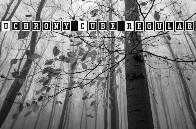 Uchrony Cube Regular Polices examples