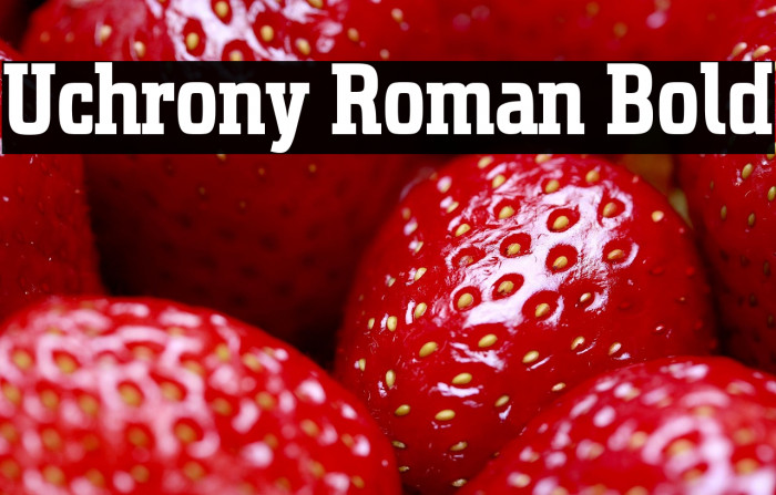 Uchrony Roman Bold Example 1