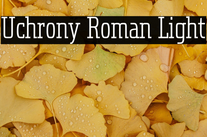 Uchrony Roman Light Example 3