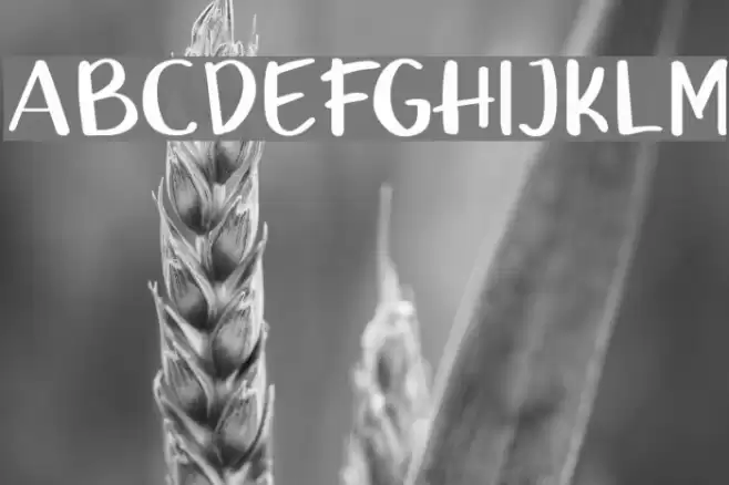 UcuAned Font examples