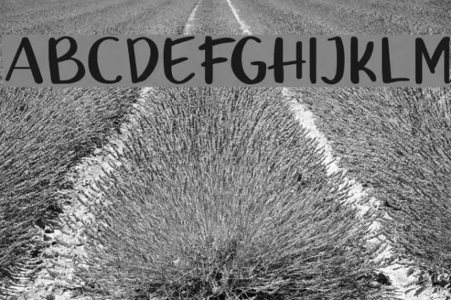 UcuAned Font examples