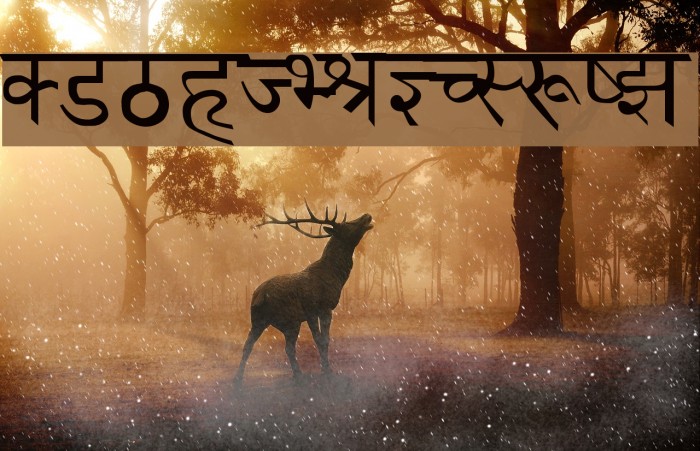 Udgam Font examples