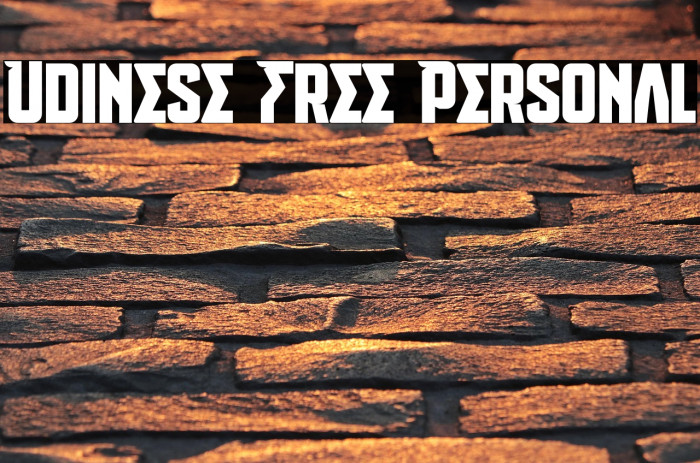 Udinese Free Personal Example 1