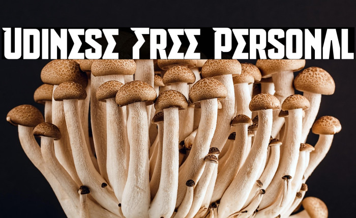 Udinese Free Personal Example 2