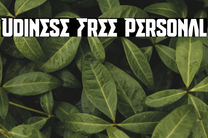 Udinese Free Personal Example 3