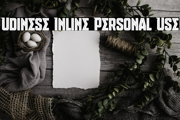 Udinese Inline Personal Use Example 1