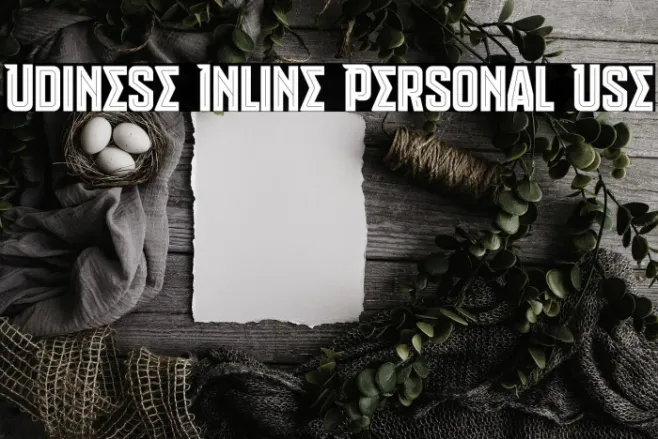 Udinese Inline Personal Use Example 1