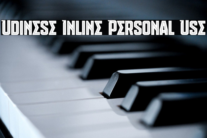 Udinese Inline Personal Use Example 2