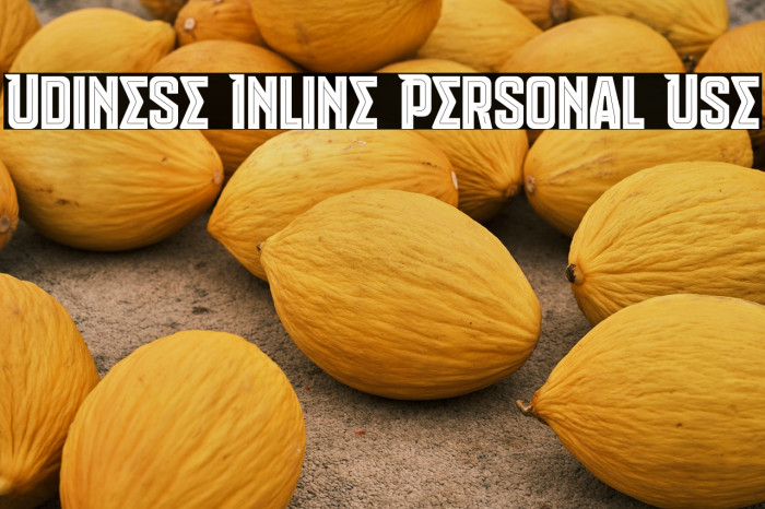 Udinese Inline Personal Use Example 3