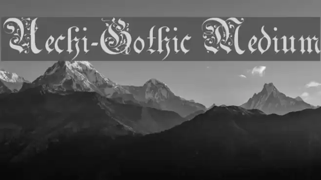 Uechi-Gothic Medium Polices examples