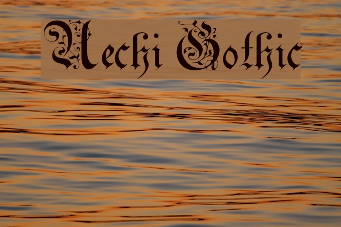 Uechi Gothic Font examples