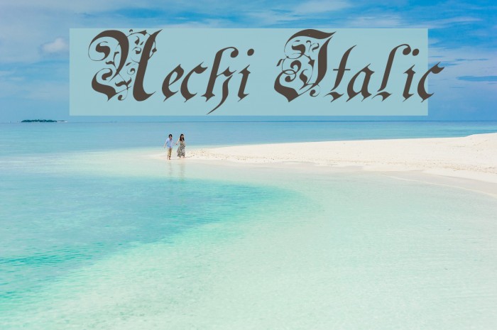 Uechi Italic Font examples